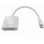 Oem - Mini DisplayPort la DVI Mama Adaptor pentru Apple MacBook - DVI și DisplayPort adaptoare - YPC297-CB