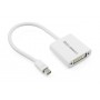 UGREEN - Convertor Mini DisplayPort la DVI Alb - DVI și DisplayPort adaptoare - UG152