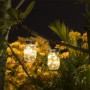Polux - Lampa solara cu 10 LED-uri tip borcan 13.5 x 8 x 7.5 cm Alb Cald - Lămpi și decorațiuni solare - PL017