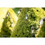 Polux - Ghirlanda luminoasa solara pentru exterior 3.8M cu 10 Becuri LED - Lămpi și decorațiuni solare - PL104