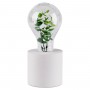 Polux - Lampa decorativa in forma de bec cu LEDuri, planta artificiala inclusa 18 cm - Decorațiuni grădina - PL125