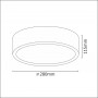 Polux - Plafoniera copii 2 x bec E14 40W 230V albastru - Lămpi de tavan - PL141