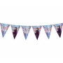 GoDan - Ghirlanda petrecere 2.3 M din 9 stegulete Frozen 2 - Ghirlande petrecere - GD062