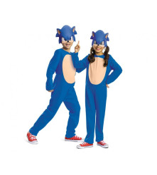 Costum Carnaval Ariciul...