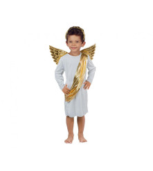 Costum inger pentru baieti...