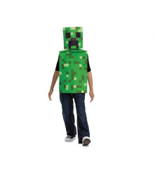 Costum carnaval Minecraft...