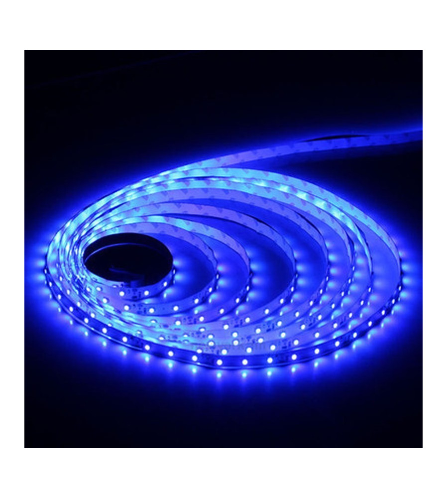 Banda LED SMD2835 Albastru 5m 60LED/m 12V