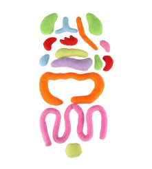 Papusa anatomica STEM Montessori cu organe detasabile, model baiat