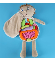 Papusa anatomica STEM Montessori cu organe detasabile, model baiat