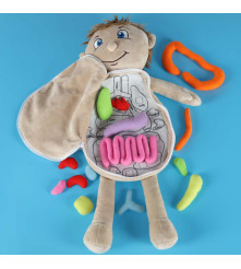 Papusa anatomica STEM Montessori cu organe detasabile, model baiat