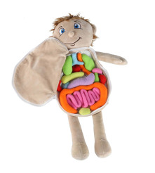 Papusa anatomica STEM Montessori cu organe detasabile, model baiat