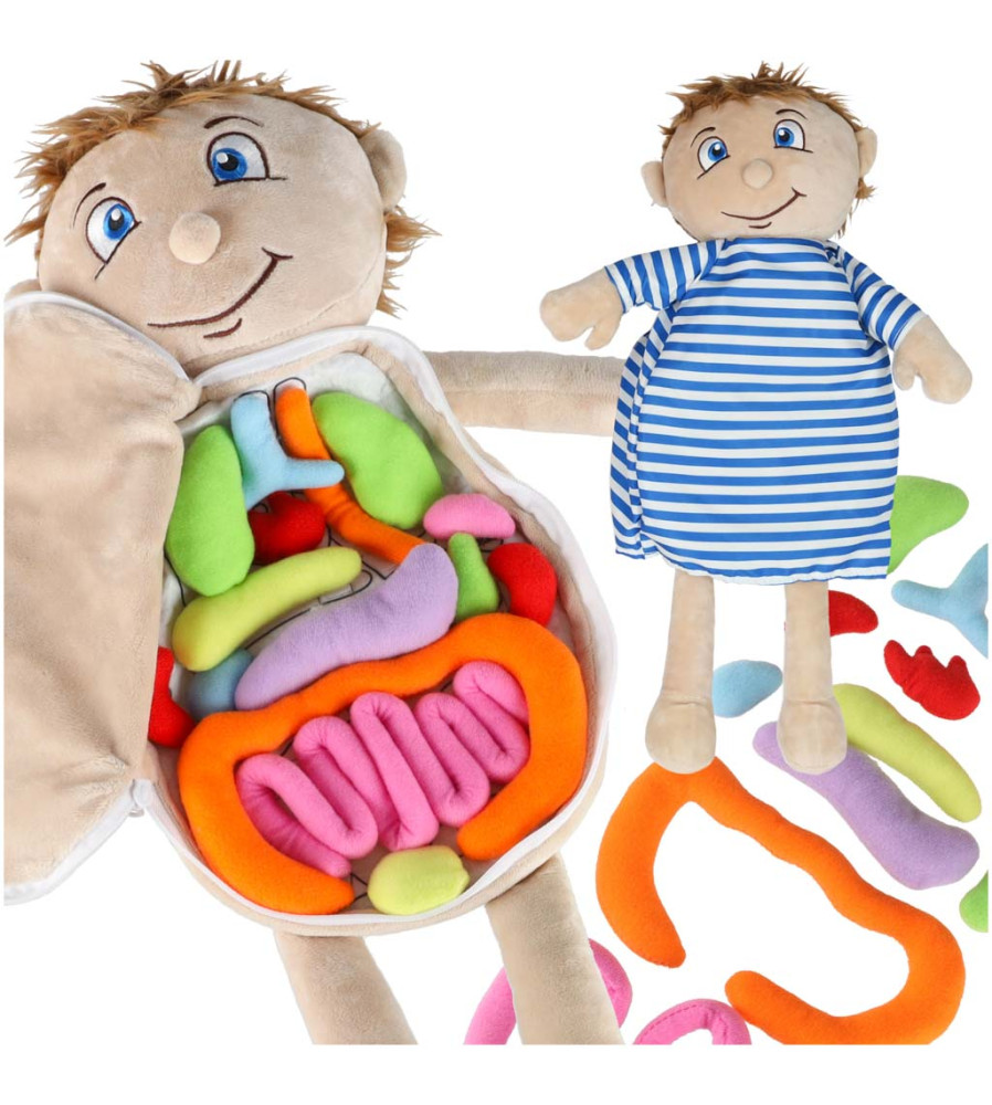 Papusa anatomica STEM Montessori cu organe detasabile, model baiat