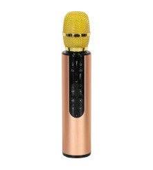 Microfon karaoke wireless pentru copii cu difuzor Bluetooth, baterie 2000 mAh, USB / card SD, auriu
