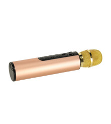 Microfon karaoke wireless pentru copii cu difuzor Bluetooth, baterie 2000 mAh, USB / card SD, auriu