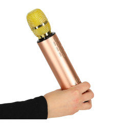 Microfon karaoke wireless pentru copii cu difuzor Bluetooth, baterie 2000 mAh, USB / card SD, auriu
