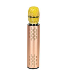 Microfon karaoke wireless pentru copii cu difuzor Bluetooth, baterie 2000 mAh, USB / card SD, auriu