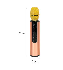 Microfon karaoke wireless pentru copii cu difuzor Bluetooth, baterie 2000 mAh, USB / card SD, auriu
