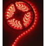 Oem - 12V IP65 Led Strip 60LED/M SMD5050 Rosu - Benzi cu LED-uri - AL200-1-CB