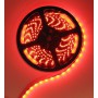 Oem - 12V IP65 Led Strip 60LED/M SMD5050 Rosu - Benzi cu LED-uri - AL200-1-CB