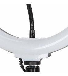 Lampa Circulara LED RGB 26 cm cu Stativ si Suport Telefon pentru Selfie Video Live