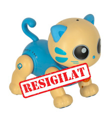 RESIGILAT Pisicuta robot...