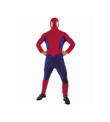 Costum Spiderman pentru...