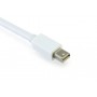 UGREEN - Convertor Mini DisplayPort la DVI Alb - DVI și DisplayPort adaptoare - UG152