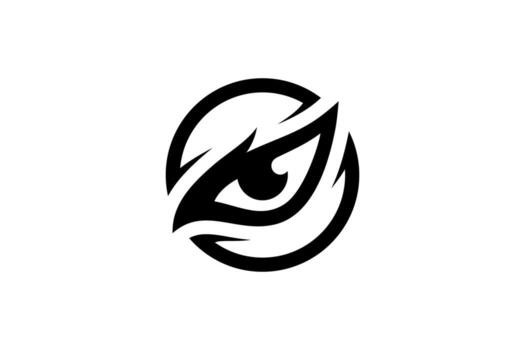 Falcon Eye